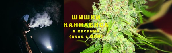 сатива Абинск