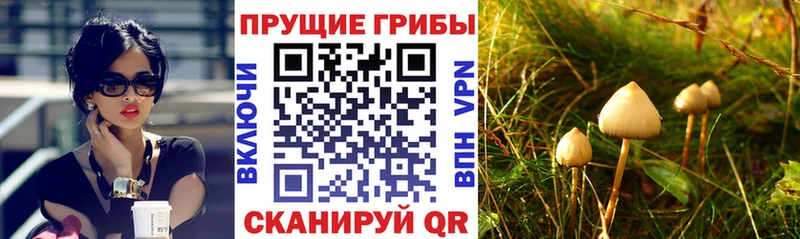 Галлюциногенные грибы Psilocybine cubensis  Агрыз 